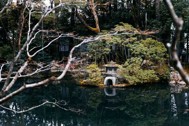 Роль японского сада в психологическом благополучии